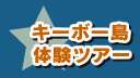 �L�[�{�[���̌��c�A�[